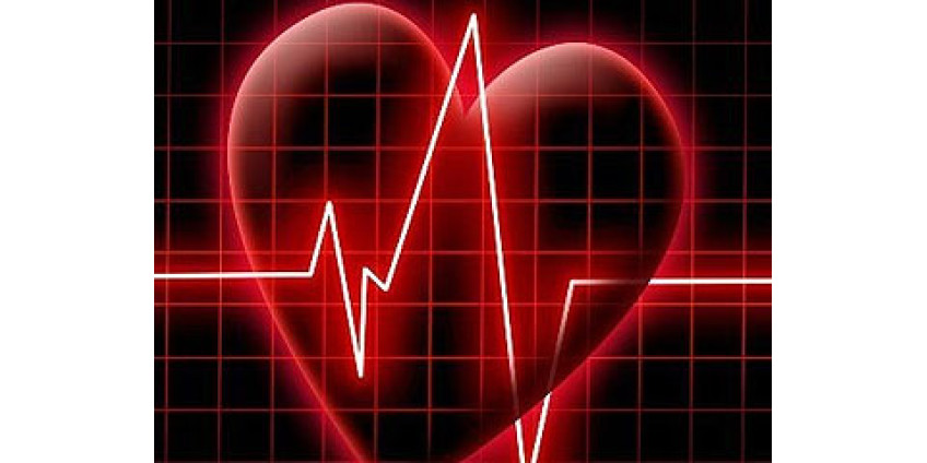 Одно сердце хорошо, а два лучше