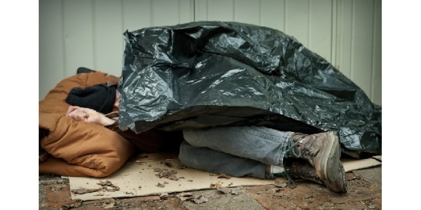 Забота о бездомных превыше всего