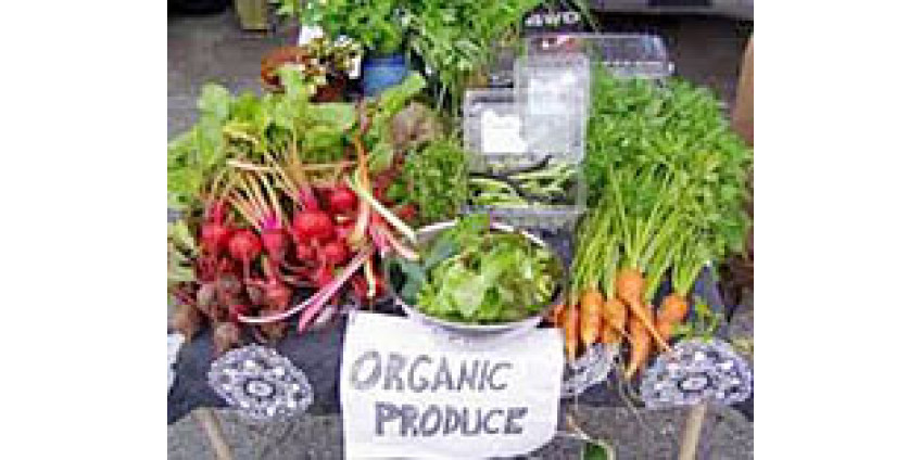 Калифорния – земля возможностей