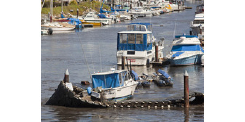 Калифорния также пострадала от цунами