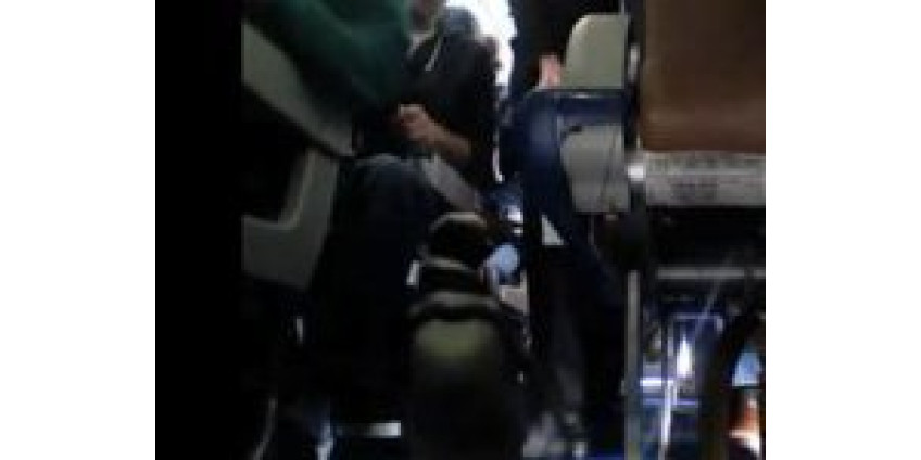 В Сан-Диего теперь летать весело