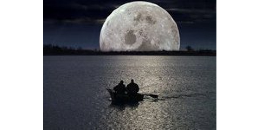 В Калифорнии можно было наблюдать удивительную Луну