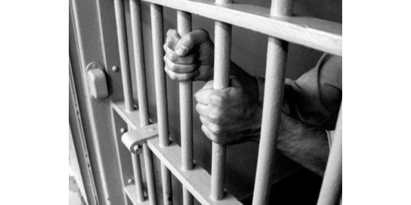 В Калифорнии живут талантливые дети