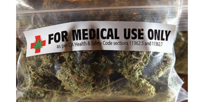 Конопля становится все популярнее