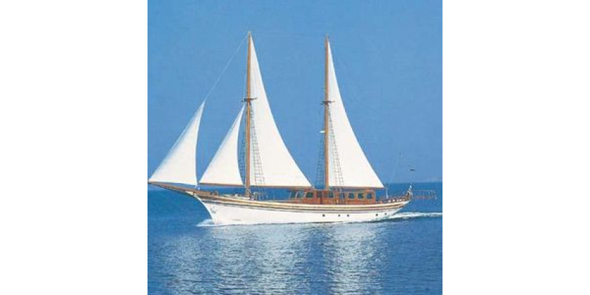 Трагедия в Сан-Диего: двое погибших