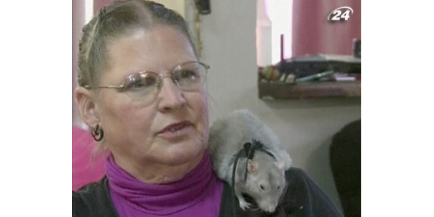 Крысы в Калифорнии спасают жизни людей