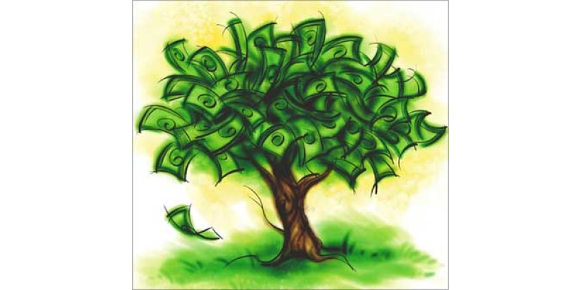 Садите деревья – получайте доходы