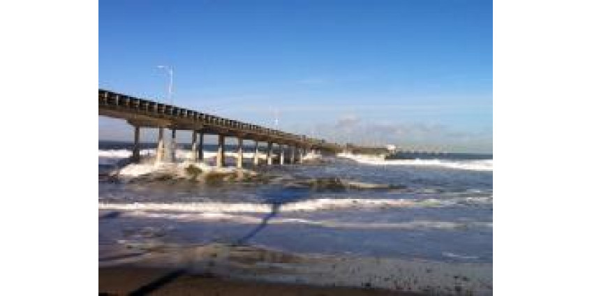 Растет температура, а вместе с ней количество работы у спасателей