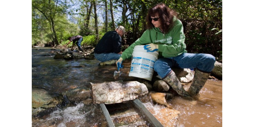 В Калифорнию возвращается золотая лихорадка