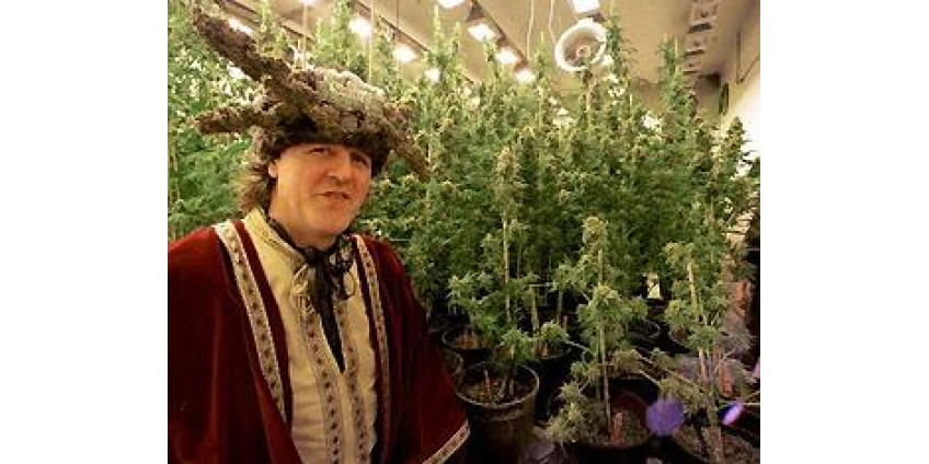 Супермаркет для любителей марихуаны