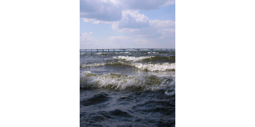 Штаты в зоне стихийных бедствий Штаты в зоне стихийных бедствий