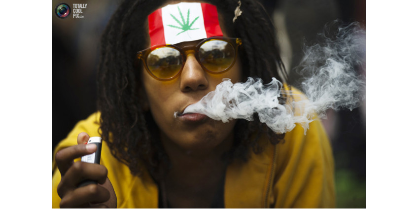 В Лос-Анджелесе прошла конопляная акция