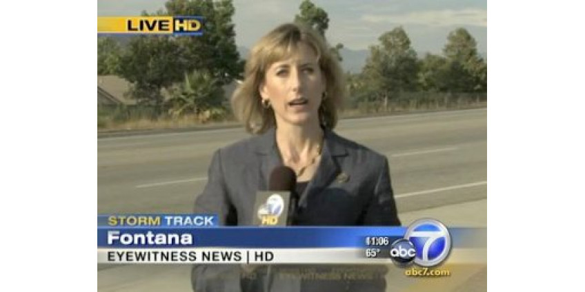 Калифорнийскую корреспондентку обстреляли прямо во время эфира