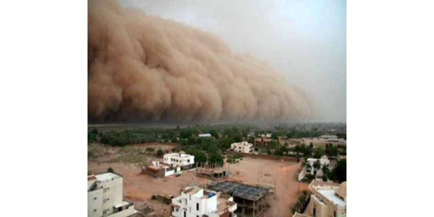 Финикс снова накрыла песчаная буря