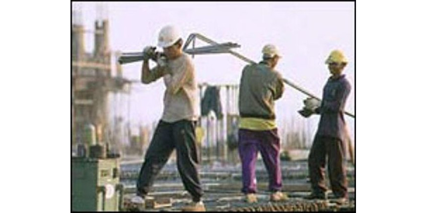 Нелегалов в Аризоне решено перевоспитывать трудом