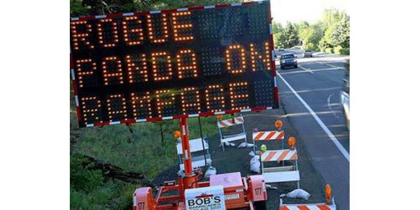 Панды не собираются нападать на Аризону