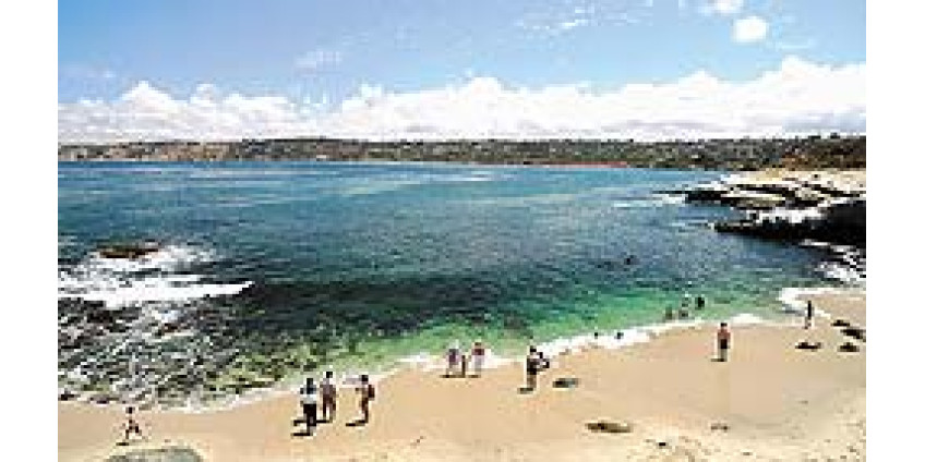 В Сан-Диего также опасаются акул