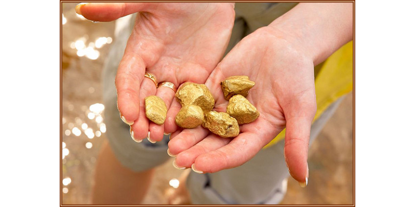 В Калифорнии вновь золотая лихорадка