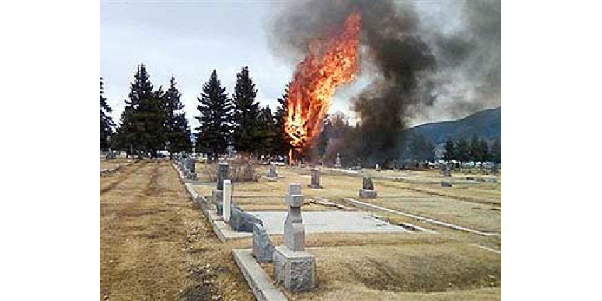 В штате Монтана погибли 14 человек