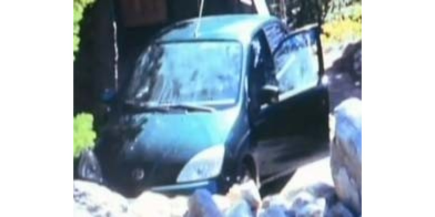 За калифорнийскими машинами начали «охотиться» медведи