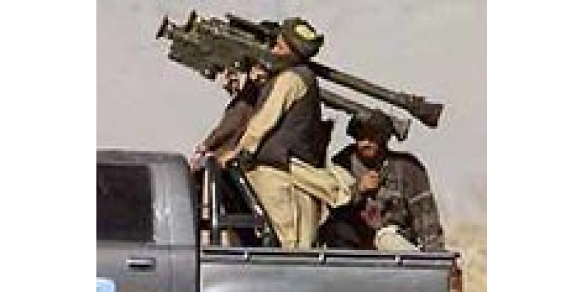 Террористам в США словно медом намазано