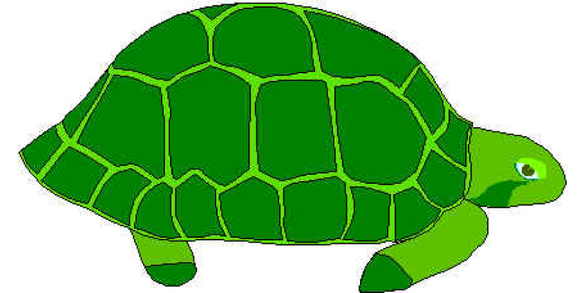 Черепахам вход запрещен