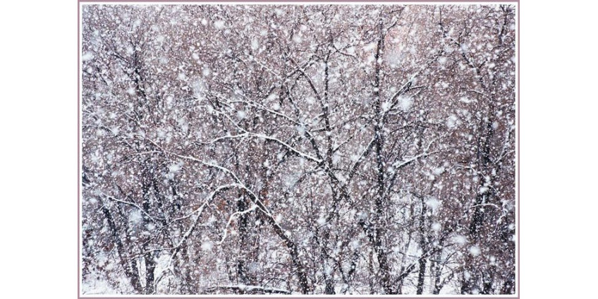 США утонули в снегу