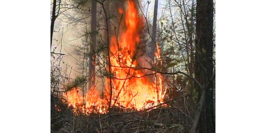 Юг США снова полыхает