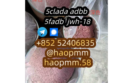 free sample Product5cl-adb Powder 5cl Adb 5cl 5cladba 5cl Raw Materials cas 1373