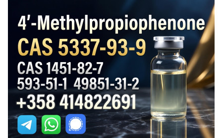 CAS 5337-93-9 4'-Methylpropiophenone High Quality Liquid Factory supply