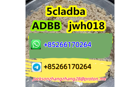 Chemical Raw Material 5cladba 5cladbb 5cl Whatsapp/TELEGRAM:+85266170264