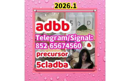 strongest adbb 5cladba precursor raw material 5f adb 4fadb， Please contact me: