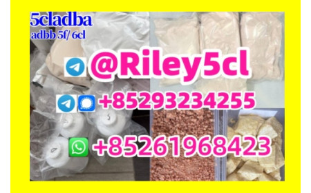 5caldb adbb raw material 5f adbb 4fadbb raw material 5cladba precursor