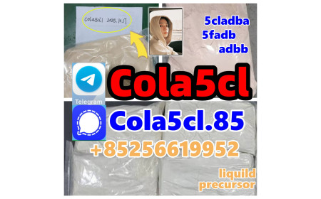 5cladba raw material 5CL-ADB-A precursor raw 5cladba 5f adb 4fadb