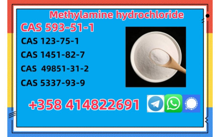 Buy High Quality CAS 593-51-1 Methylamine Hydrochloride at Best Price