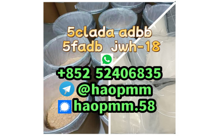 free sample5cladb 5cladba raw materials 5F-adb jwh-018