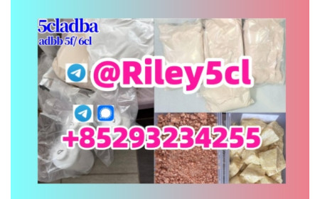 Chemical adbb 5cladba precursor raw material