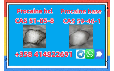 uhnjhProcaine Hcl Cas 51-05-8 China Factory Direct Sale
