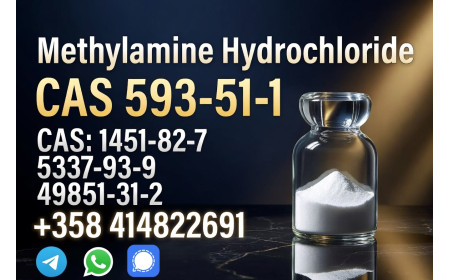 CAS 593-51-1 Methylamine hydrochloride Factory Supply High Purity 100% Safe Deli