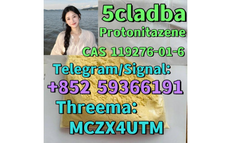 Protonitazene CAS 119276 - 01 - 6