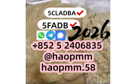 5F raw material 5cladba precursor raw 5cl  Tim please contact me.