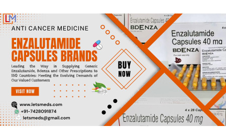 Purchase Bdenza Capsules Online at Lower Cost | Generic Enzalutamide Wholesale