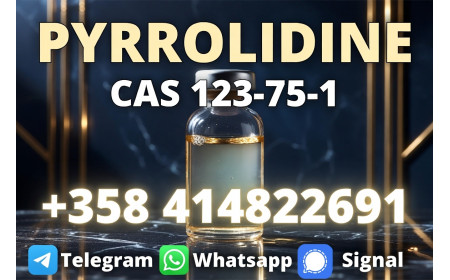 China factory supply Pyrrolidine 123-75-1
