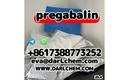 Factory supply best quality Pregabalin powder