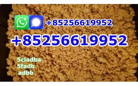 strongest adbb 5cladba precursor raw material 5f adb 4fadb