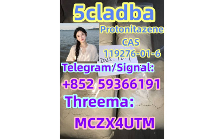 High quality CAS:119276-01-6 Protonitazene