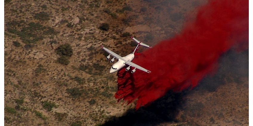 В Аризоне разразился крупный лесной пожар