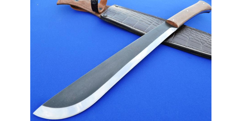 Ребенок справился с тремя грабителями при помощи мачете