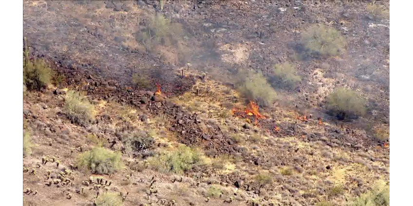Подростков из Финикса обвинили в начавшемся пожаре