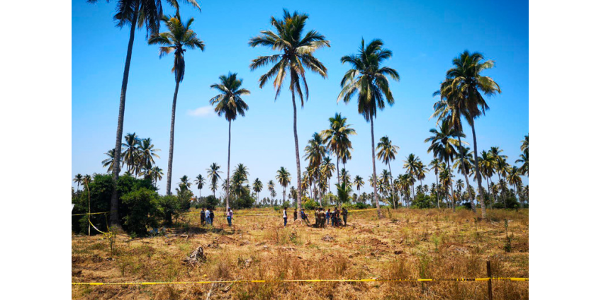 Около 90 тайных захоронений обнаружены на западе Мексики с начала года